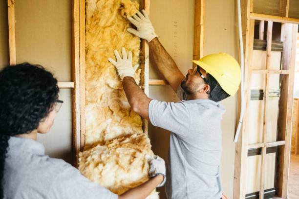 Best Affordable Insulation Services  in Burlingame, CA