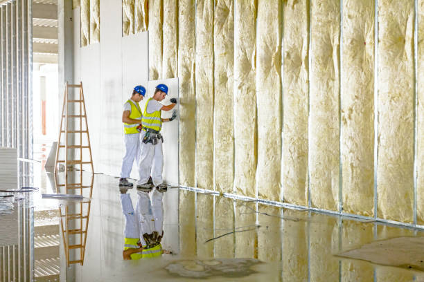 Best Attic Insulation Installation  in Burlingame, CA